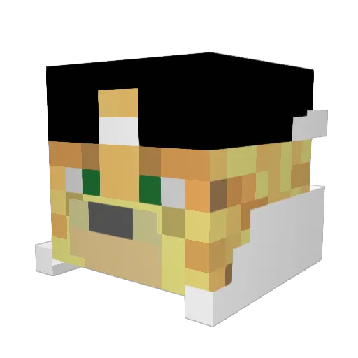 KesterSeinMLG_ Minecraft avatar head, 3D render