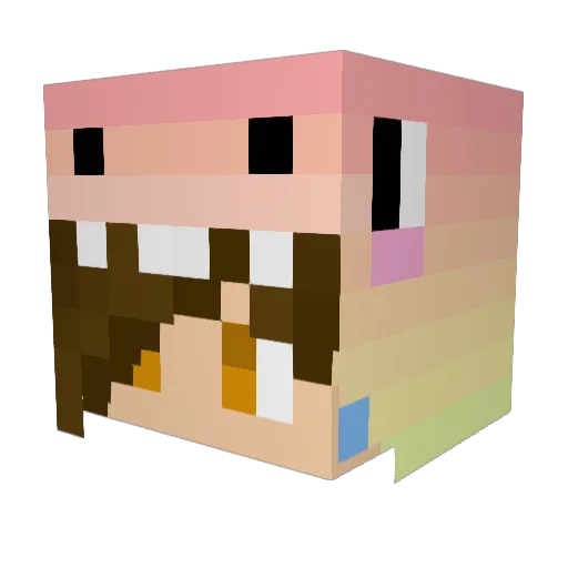 Kestrel2000 Minecraft avatar head, 3D render