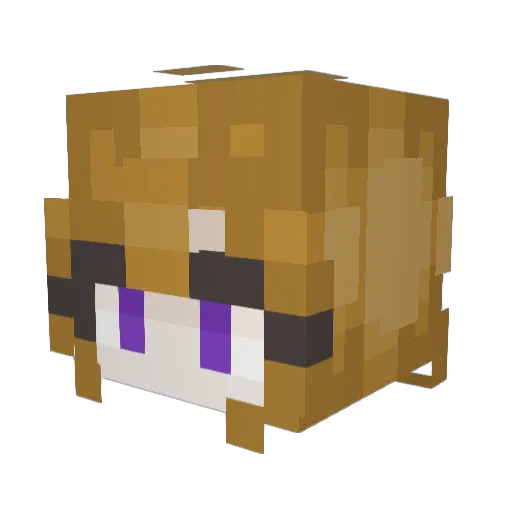 Kestrel37 Minecraft avatar head, 3D render