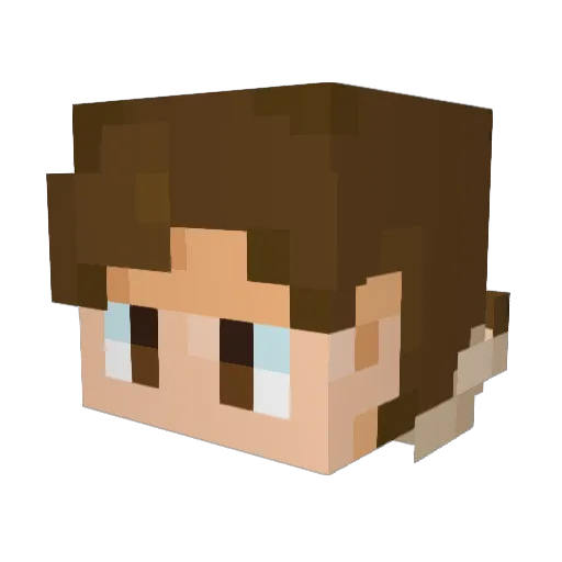 Kestrel64 Minecraft avatar head, 3D render