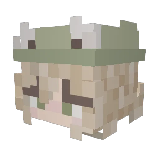 KestrelKip Minecraft avatar head, 3D render