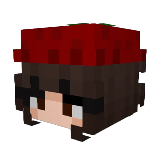 KetchupCamilo Minecraft avatar head, 3D render