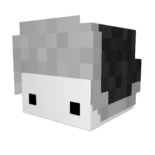 Ketier Minecraft avatar head, 3D render