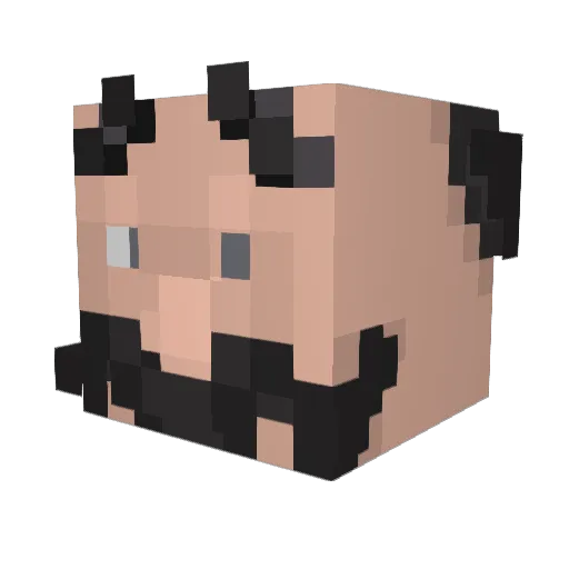 Ketil_KT Minecraft avatar head, 3D render