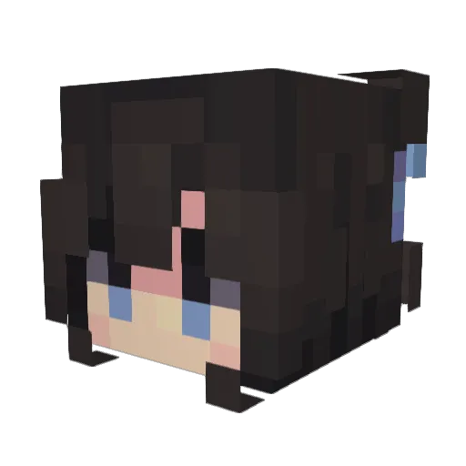 Ketr1n Minecraft avatar head, 3D render