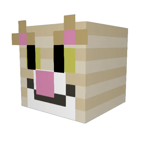 KettyCat Minecraft avatar head, 3D render