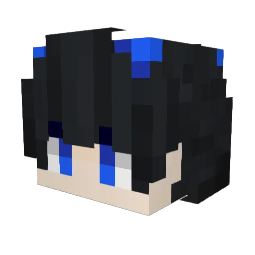 Kev1nSalfman Minecraft avatar head, 3D render