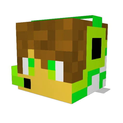 KevKonKiller6 Minecraft avatar head, 3D render