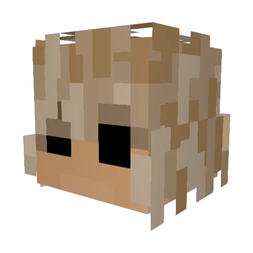 KevStoleUrGirl Minecraft avatar head, 3D render