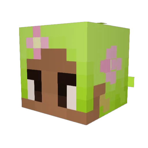 Kevin1087 Minecraft avatar head, 3D render