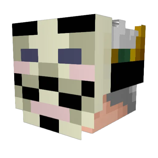 Kevin885 Minecraft avatar head, 3D render