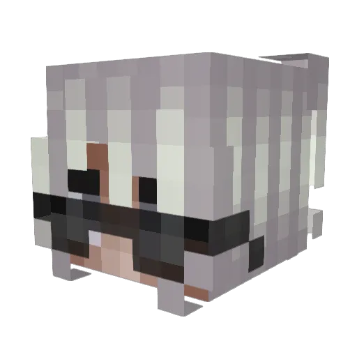 Kevin993 Minecraft avatar head, 3D render