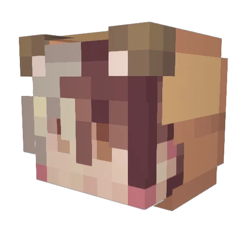 KevinKunz11 Minecraft avatar head, 3D render