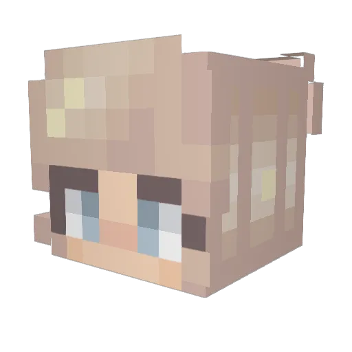 KevinLovesYou48 Minecraft avatar head, 3D render
