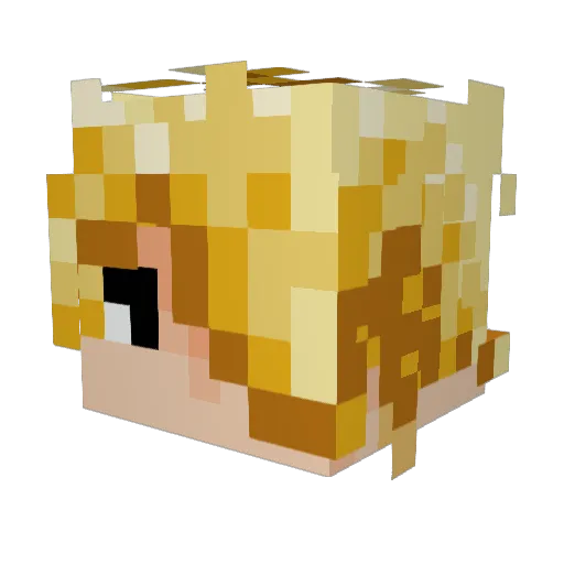 KevinW1011 Minecraft avatar head, 3D render