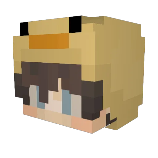 Kevin_Duck Minecraft avatar head, 3D render