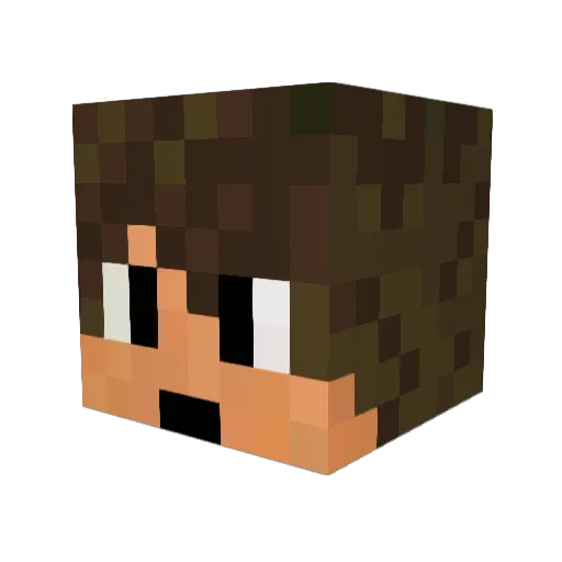 Kevin_Farmer Minecraft avatar head, 3D render
