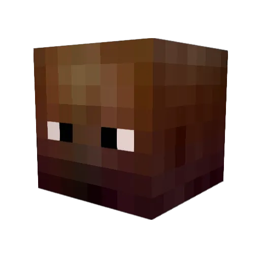 Kevin_O215 Minecraft avatar head, 3D render