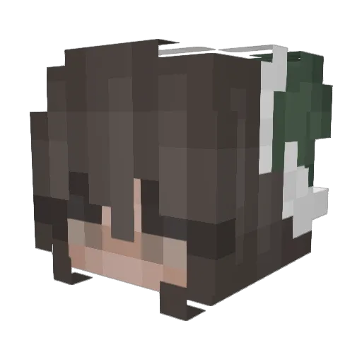 Kevinowens46 Minecraft avatar head, 3D render