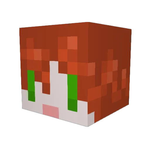 Key_coco Minecraft avatar head, 3D render