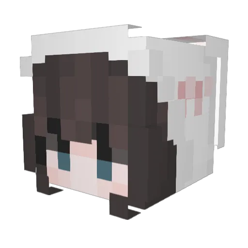 Kgraces13 Minecraft avatar head, 3D render