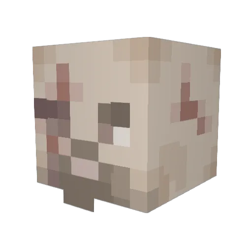 Khal_Drongo Minecraft avatar head, 3D render
