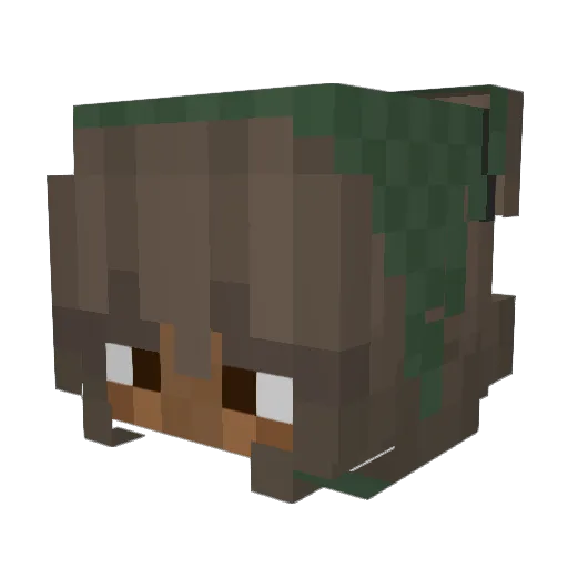 KhloeC2007 Minecraft avatar head, 3D render