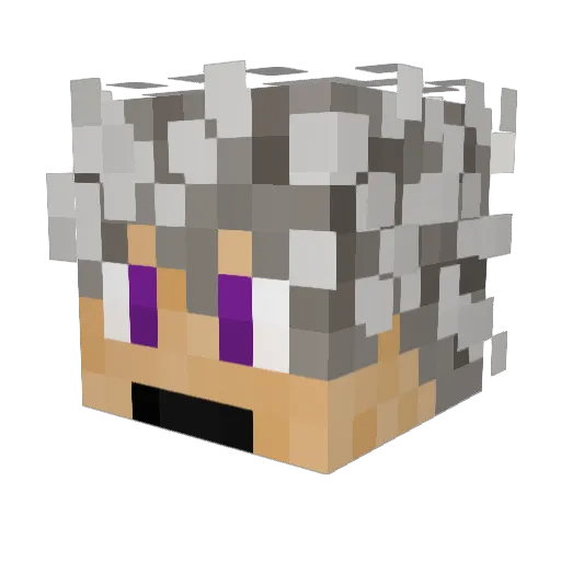 KhonjinsHouse Minecraft avatar head, 3D render