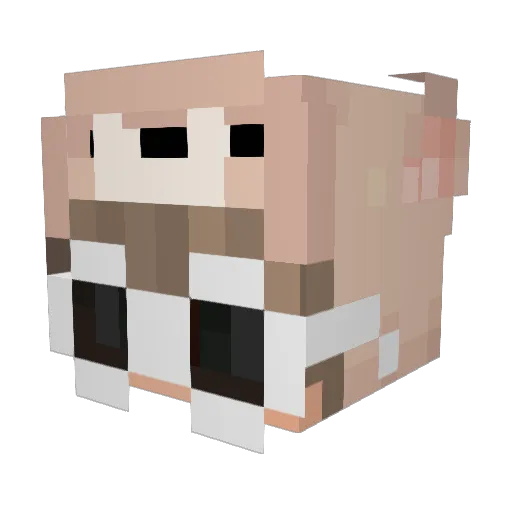 Khyemon Minecraft avatar head, 3D render