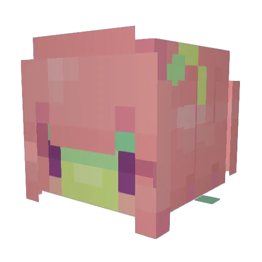Ki1tkat Minecraft avatar head, 3D render