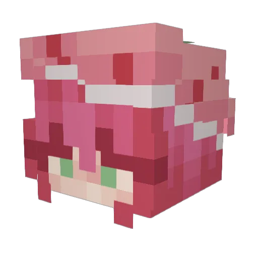 KiLLerPoot Minecraft avatar head, 3D render