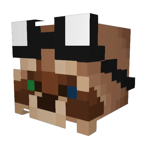 KiQi____ Minecraft avatar head, 3D render