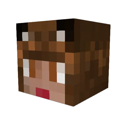 Kiaena Minecraft avatar head, 3D render