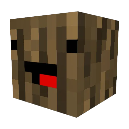 Kiani11 Minecraft avatar head, 3D render
