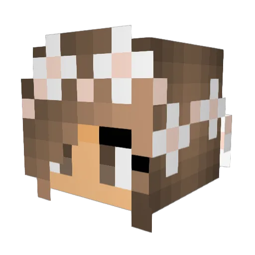 Kiara_67 Minecraft avatar head, 3D render