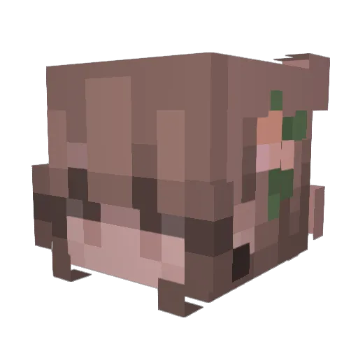 Kiara_Li Minecraft avatar head, 3D render