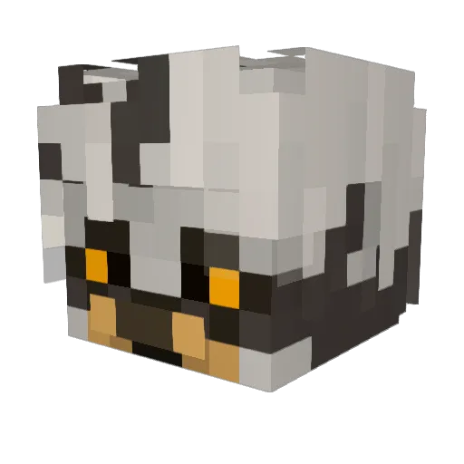 Kiarasyt Minecraft avatar head, 3D render