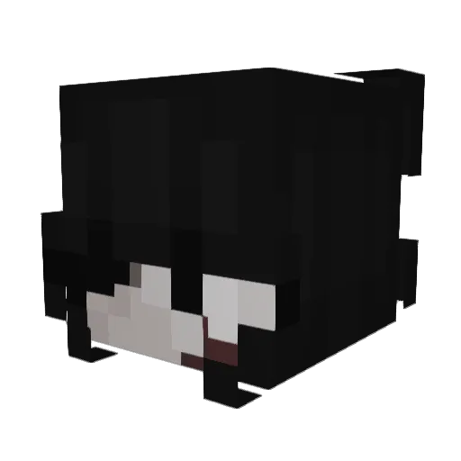 Kiari_C Minecraft avatar head, 3D render