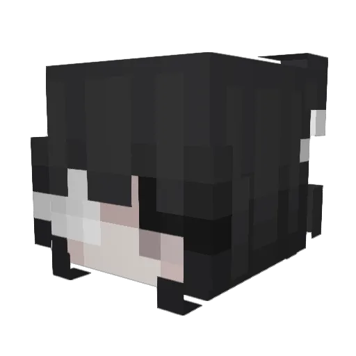 Kiarsa Minecraft avatar head, 3D render