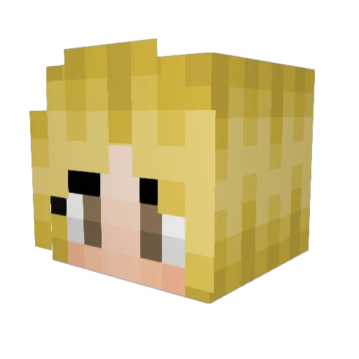 Kiawer Minecraft avatar head, 3D render
