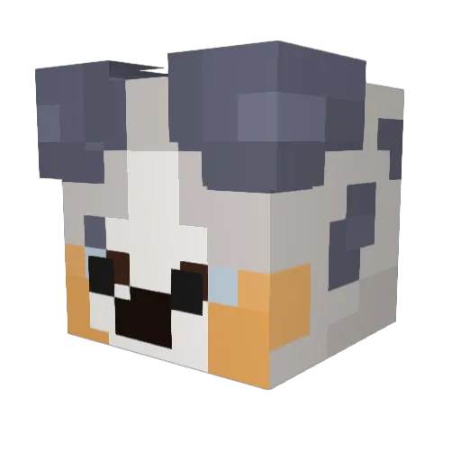 KibaAussie Minecraft avatar head, 3D render