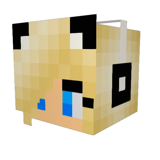 Kibaki3 Minecraft avatar head, 3D render