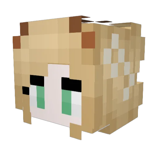 Kicartu Minecraft avatar head, 3D render