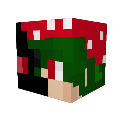KickedGrzyb Minecraft avatar head, 3D render