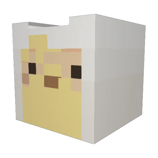 KidBoulder Minecraft avatar head, 3D render