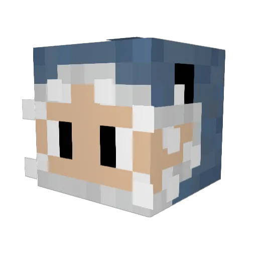 KidFisch Minecraft avatar head, 3D render