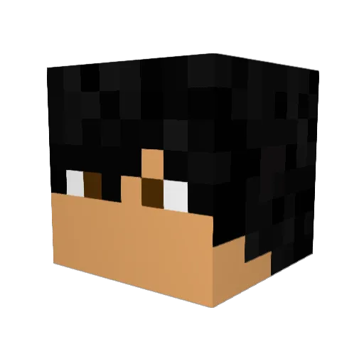 KidHero_11 Minecraft avatar head, 3D render