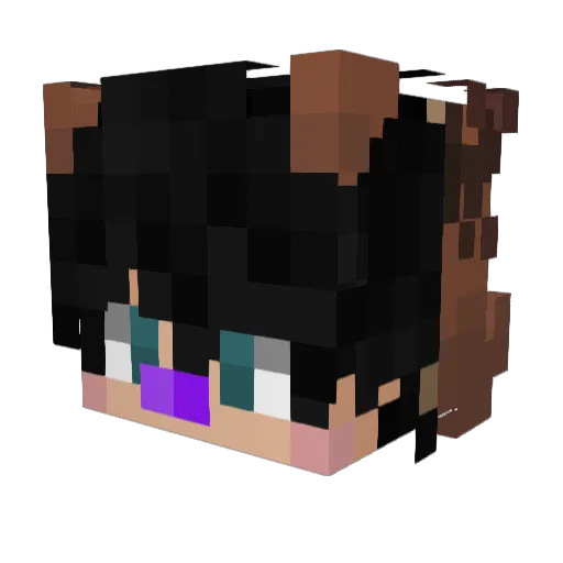 KidLoverHenry200 Minecraft avatar head, 3D render