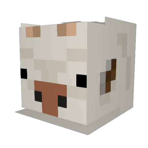 KidRapper12 Minecraft avatar head, 3D render