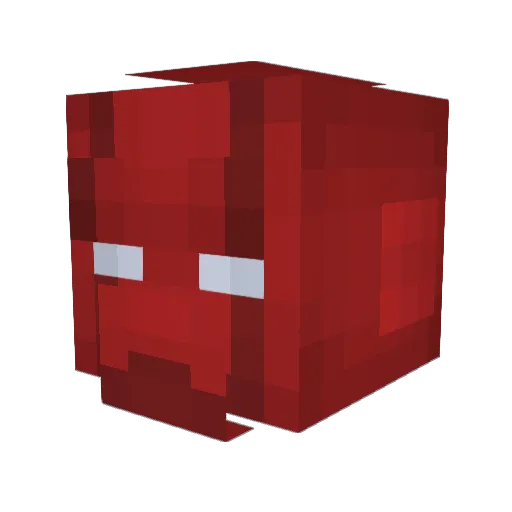 KidXavier777 Minecraft avatar head, 3D render